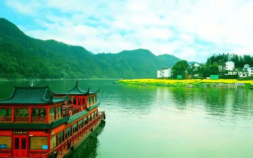 科技高标准